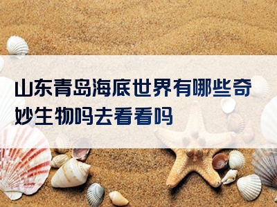 山东青岛海底世界有哪些奇妙生物吗去看看吗