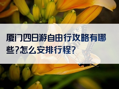 厦门四日游自由行攻略有哪些？怎么安排行程？