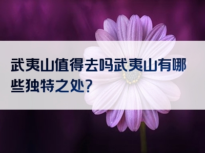 武夷山值得去吗武夷山有哪些独特之处？