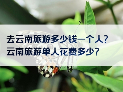 去云南旅游多少钱一个人？云南旅游单人花费多少？