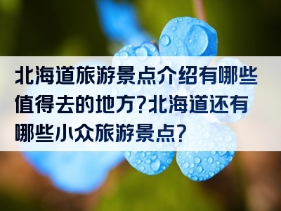 北海道旅游景点介绍有哪些值得去的地方？北海道还有哪些小众旅游景点？