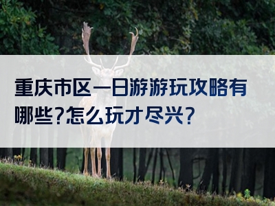 重庆市区一日游游玩攻略有哪些？怎么玩才尽兴？