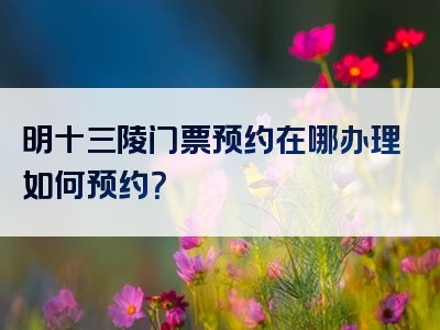 明十三陵门票预约在哪办理如何预约？