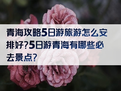 青海攻略5日游旅游怎么安排好？5日游青海有哪些必去景点？