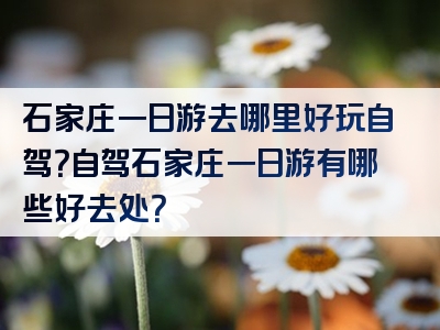 石家庄一日游去哪里好玩自驾？自驾石家庄一日游有哪些好去处？