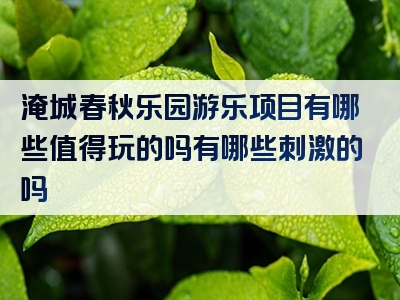 淹城春秋乐园游乐项目有哪些值得玩的吗有哪些刺激的吗