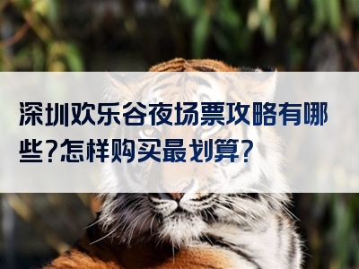 深圳欢乐谷夜场票攻略有哪些？怎样购买最划算？