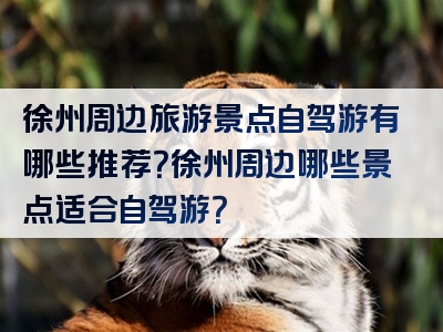徐州周边旅游景点自驾游有哪些推荐？徐州周边哪些景点适合自驾游？