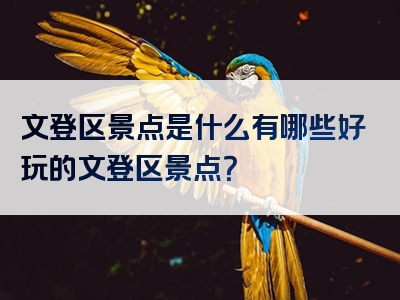 文登区景点是什么有哪些好玩的文登区景点？