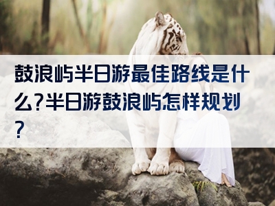 鼓浪屿半日游最佳路线是什么？半日游鼓浪屿怎样规划？