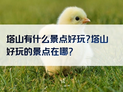 塔山有什么景点好玩？塔山好玩的景点在哪？