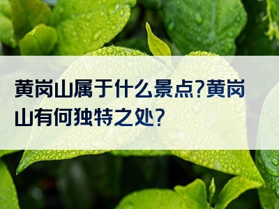 黄岗山属于什么景点？黄岗山有何独特之处？
