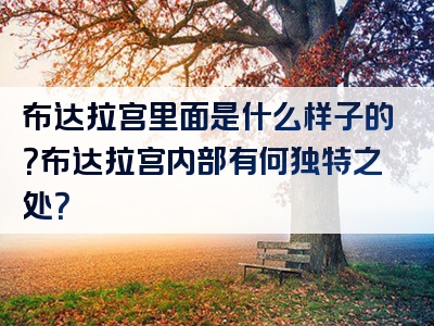 布达拉宫里面是什么样子的？布达拉宫内部有何独特之处？