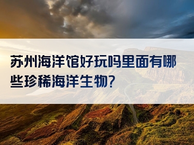 苏州海洋馆好玩吗里面有哪些珍稀海洋生物？