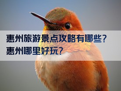 惠州旅游景点攻略有哪些？惠州哪里好玩？