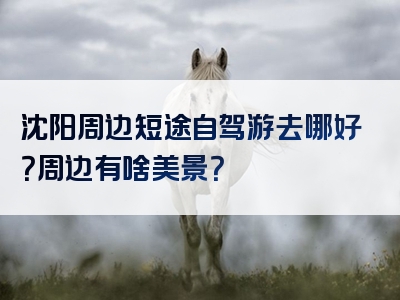 沈阳周边短途自驾游去哪好？周边有啥美景？