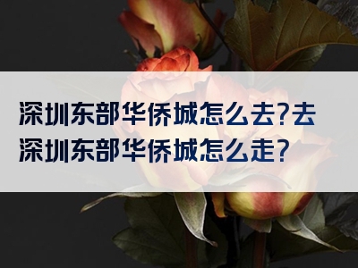 深圳东部华侨城怎么去？去深圳东部华侨城怎么走？