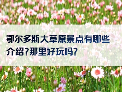 鄂尔多斯大草原景点有哪些介绍？那里好玩吗？
