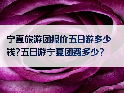 宁夏旅游团报价五日游多少钱？五日游宁夏团费多少？