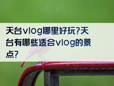 天台vlog哪里好玩？天台有哪些适合vlog的景点？