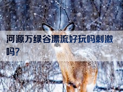 河源万绿谷漂流好玩吗刺激吗？