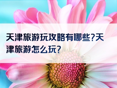 天津旅游玩攻略有哪些？天津旅游怎么玩？