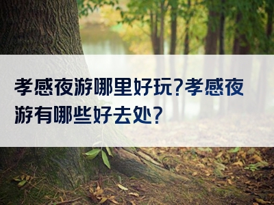 孝感夜游哪里好玩？孝感夜游有哪些好去处？
