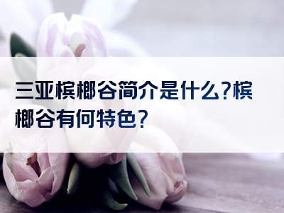 三亚槟榔谷简介是什么？槟榔谷有何特色？