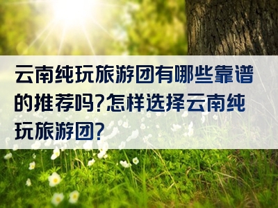 云南纯玩旅游团有哪些靠谱的推荐吗？怎样选择云南纯玩旅游团？