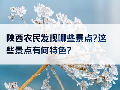 陕西农民发现哪些景点？这些景点有何特色？