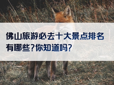 佛山旅游必去十大景点排名有哪些？你知道吗？