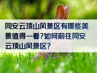 同安云顶山风景区有哪些美景值得一看？如何前往同安云顶山风景区？