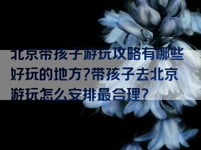 北京带孩子游玩攻略有哪些好玩的地方？带孩子去北京游玩怎么安排最合理？