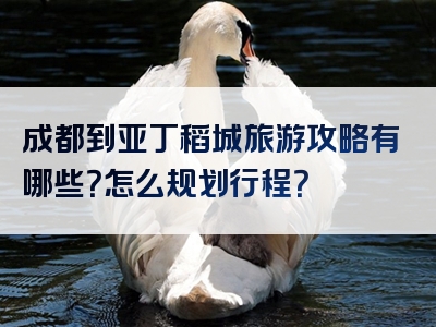 成都到亚丁稻城旅游攻略有哪些？怎么规划行程？