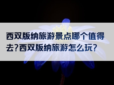 西双版纳旅游景点哪个值得去？西双版纳旅游怎么玩？
