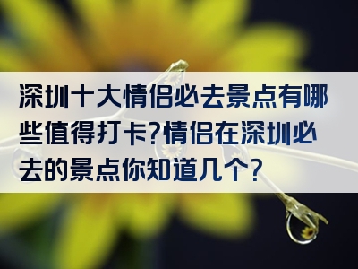 深圳十大情侣必去景点有哪些值得打卡？情侣在深圳必去的景点你知道几个？
