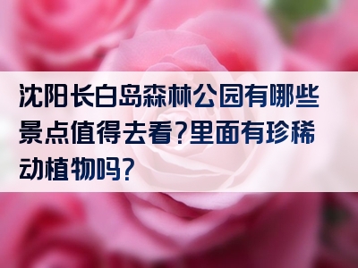 沈阳长白岛森林公园有哪些景点值得去看？里面有珍稀动植物吗？
