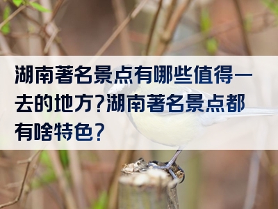 湖南著名景点有哪些值得一去的地方？湖南著名景点都有啥特色？