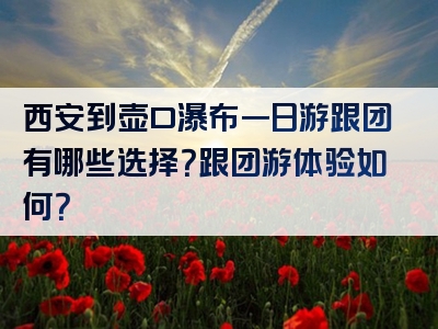 西安到壶口瀑布一日游跟团有哪些选择？跟团游体验如何？