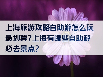 上海旅游攻略自助游怎么玩最划算？上海有哪些自助游必去景点？