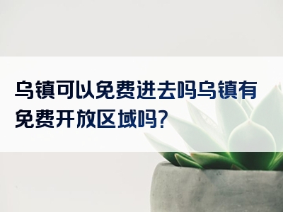 乌镇可以免费进去吗乌镇有免费开放区域吗？