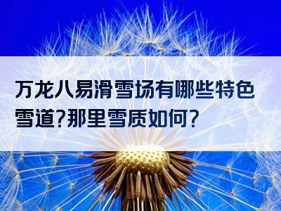 万龙八易滑雪场有哪些特色雪道？那里雪质如何？