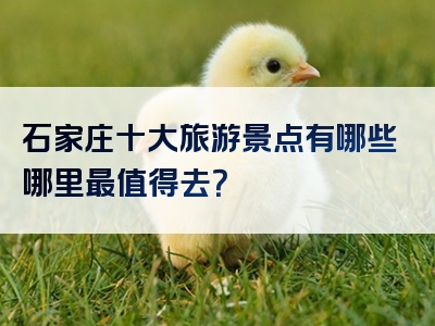 石家庄十大旅游景点有哪些哪里最值得去？