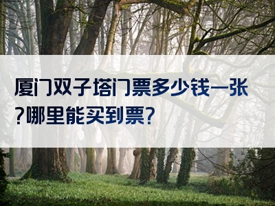 厦门双子塔门票多少钱一张？哪里能买到票？