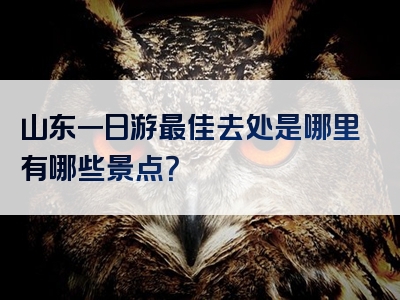 山东一日游最佳去处是哪里有哪些景点？