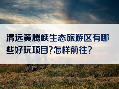 清远黄腾峡生态旅游区有哪些好玩项目？怎样前往？