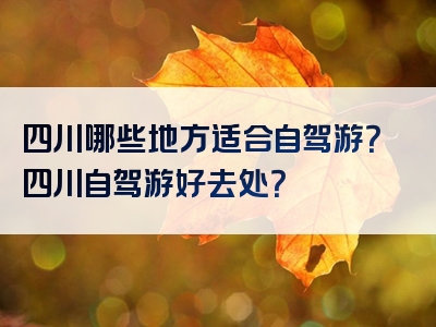 四川哪些地方适合自驾游？四川自驾游好去处？