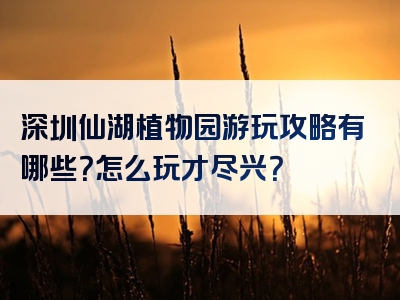 深圳仙湖植物园游玩攻略有哪些？怎么玩才尽兴？