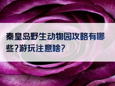 秦皇岛野生动物园攻略有哪些？游玩注意啥？