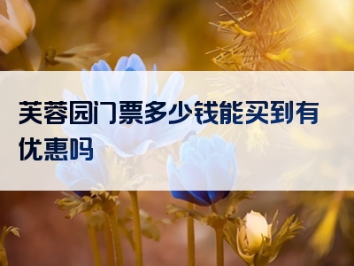 芙蓉园门票多少钱能买到有优惠吗